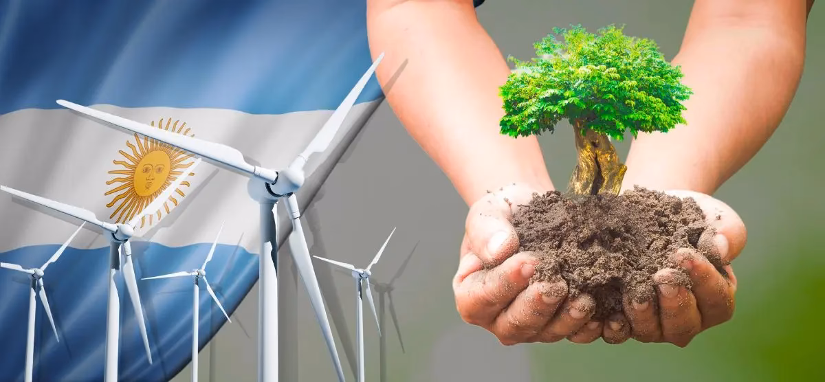 ¿Cuál es el impacto ambiental de la energía eólica?