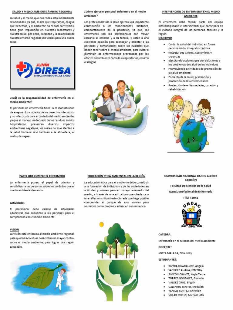 ¿Cuál es el rol de enfermería en problemas ambientales?