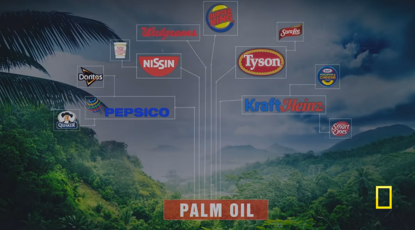 ¿Cómo ha ayudado Leonardo DiCaprio a convertirse en un personaje del activismo ambiental?