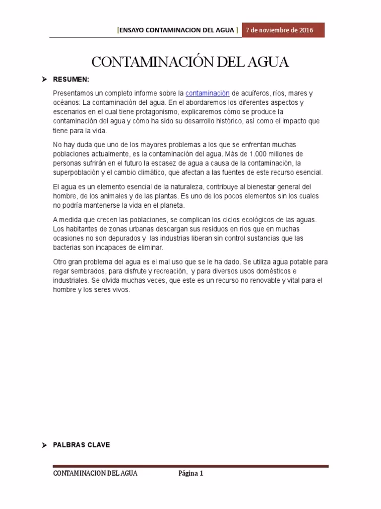 ¿Cómo se puede solucionar la contaminación hacia los ríos/mares?