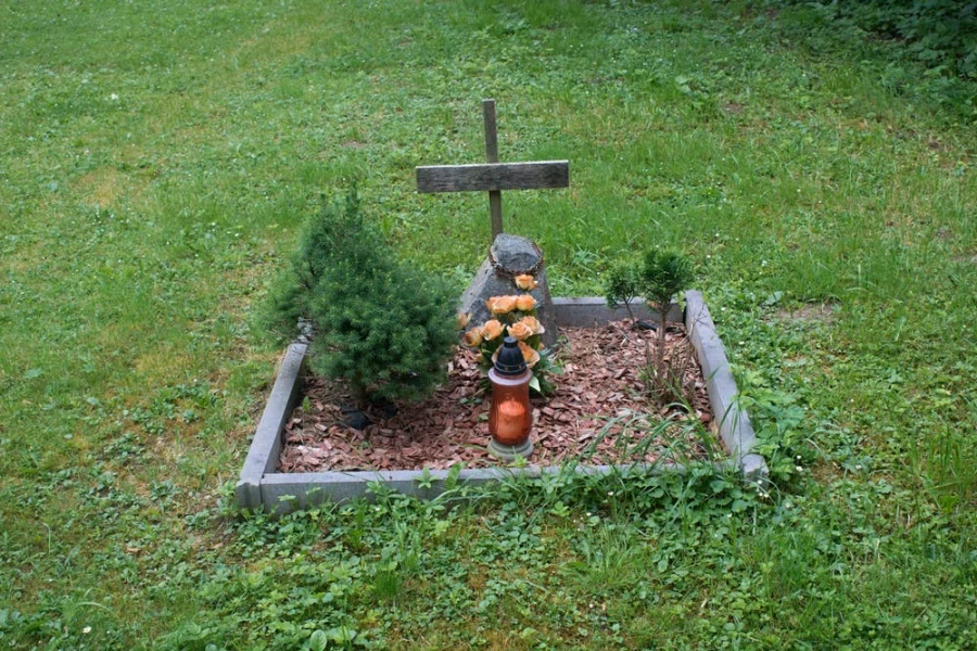 ¿Por qué no se deben enterrar a los perros muertos en casa?