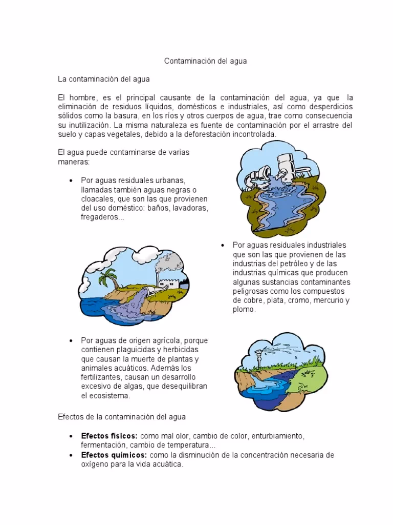 ¿Cuáles son los efectos de la turbidez en el agua?