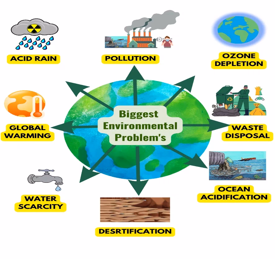 What are the effects of environmental pollution?