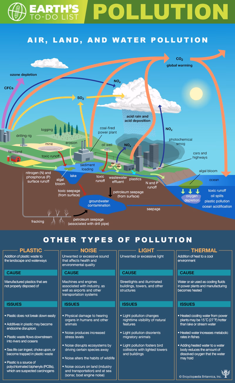 What are the effects of environmental pollution?