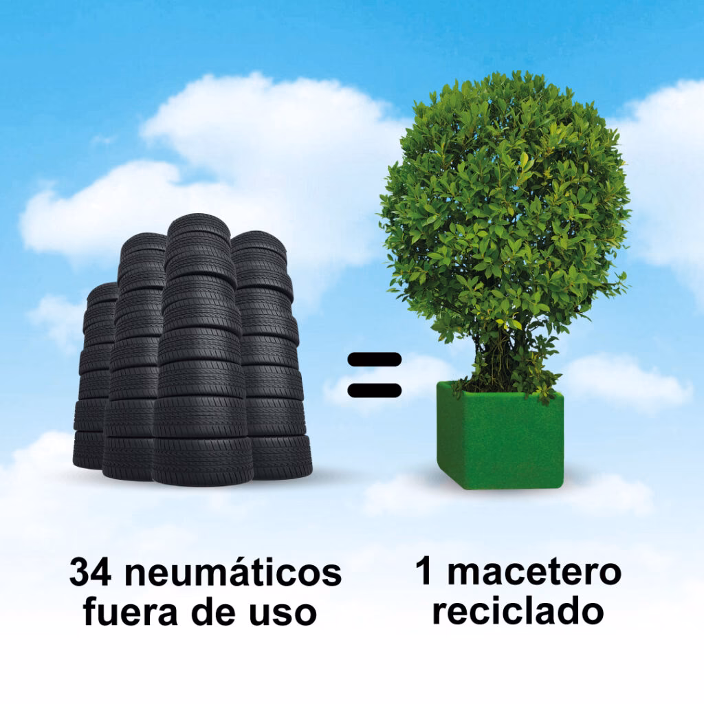 ¿Qué plantas poner en un neumático?