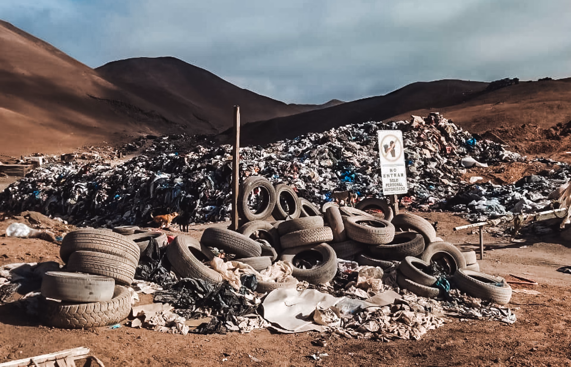 ¿Cómo cuidar el planeta y estar a la moda a bajo costo?