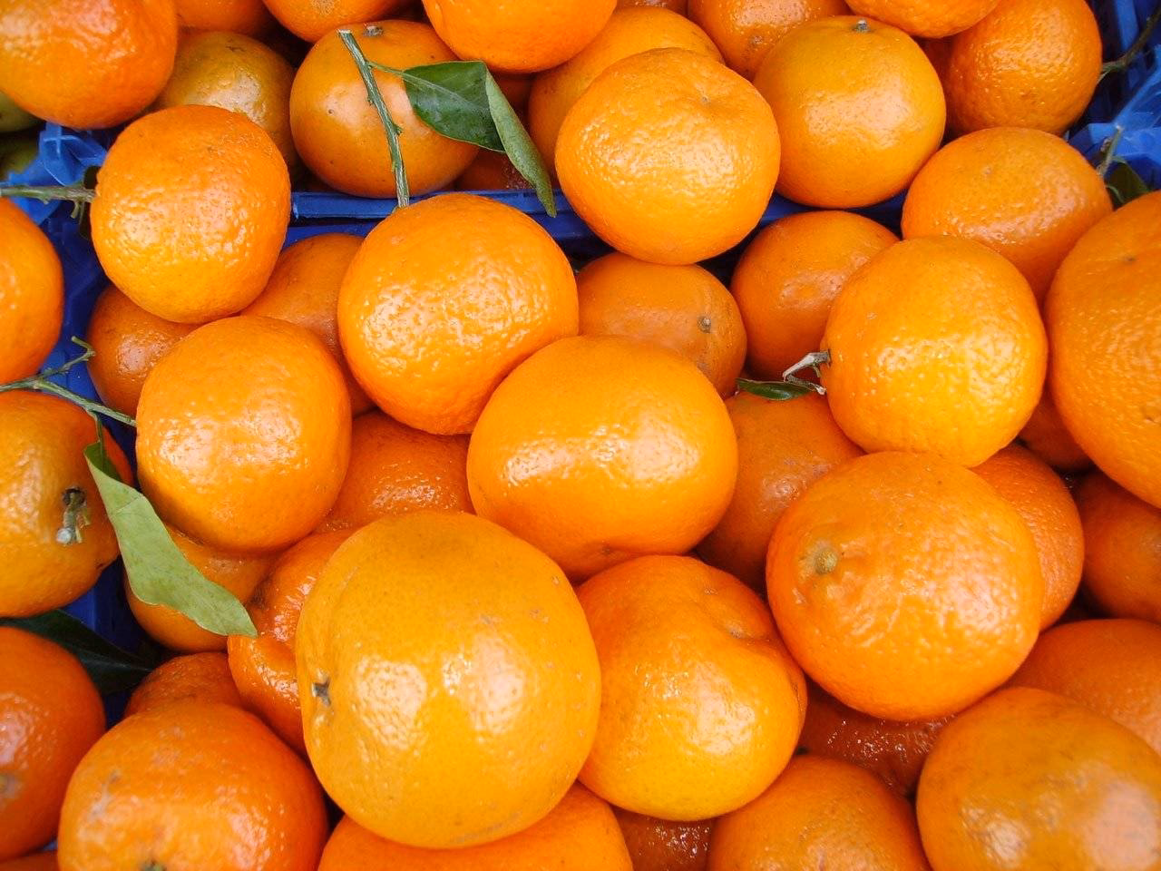 ¿Cuántos litros de agua se necesitan para producir una naranja?