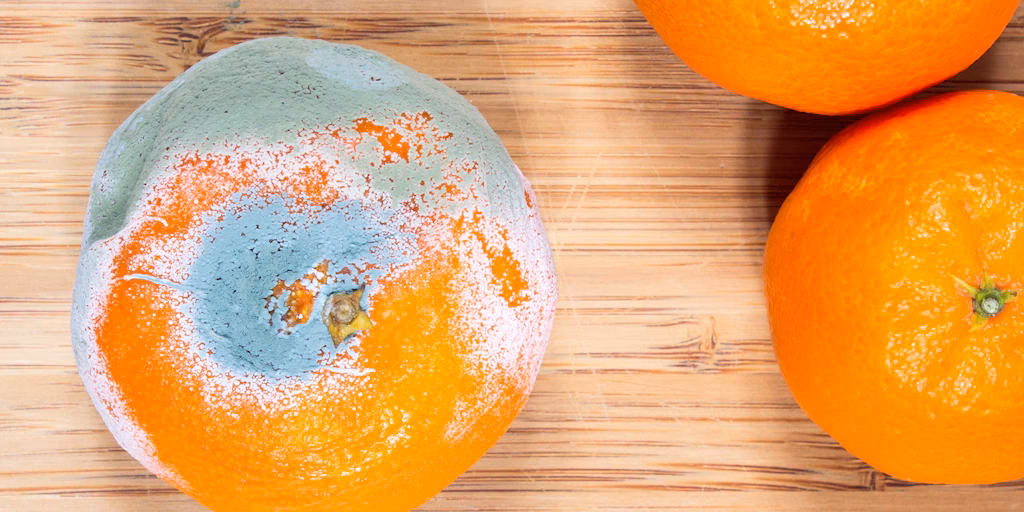 ¿Cuáles son los síntomas del Agente Naranja?