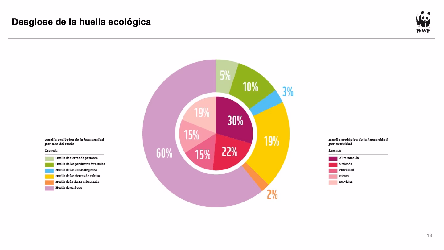 ¿Cómo reducir la huella de carbono?