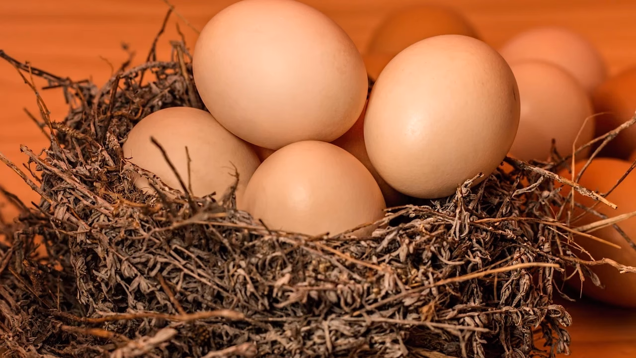 ¿Dónde están los huevos contaminados?