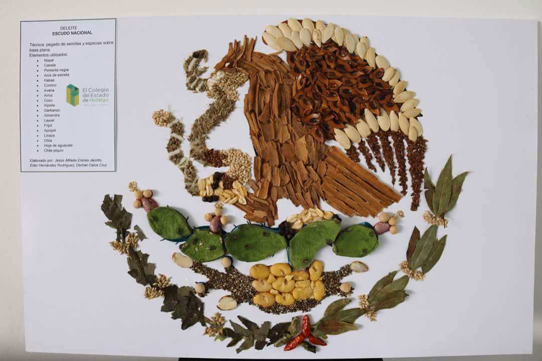 ¿Qué es un escudo nacional?