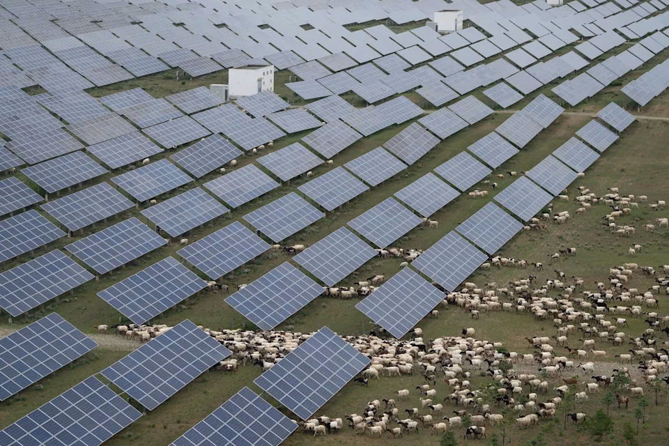 ¿Quién asesora el cambio climático?