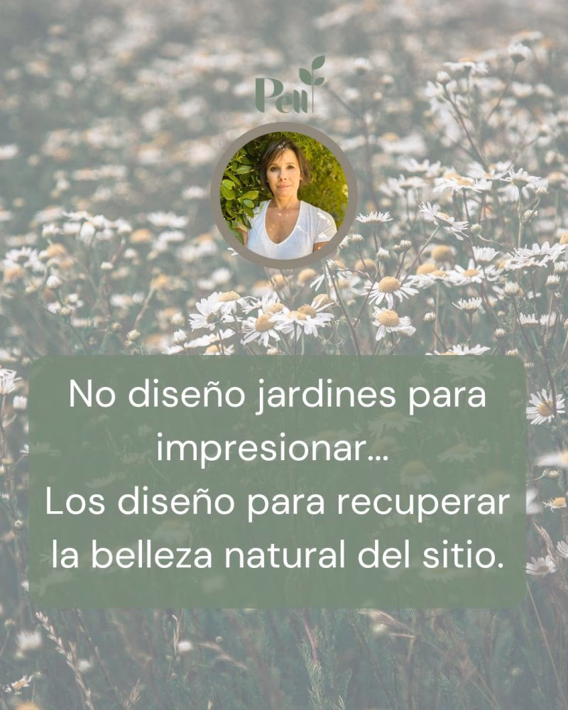 ¿Qué hacen los especialistas en paisajismo?