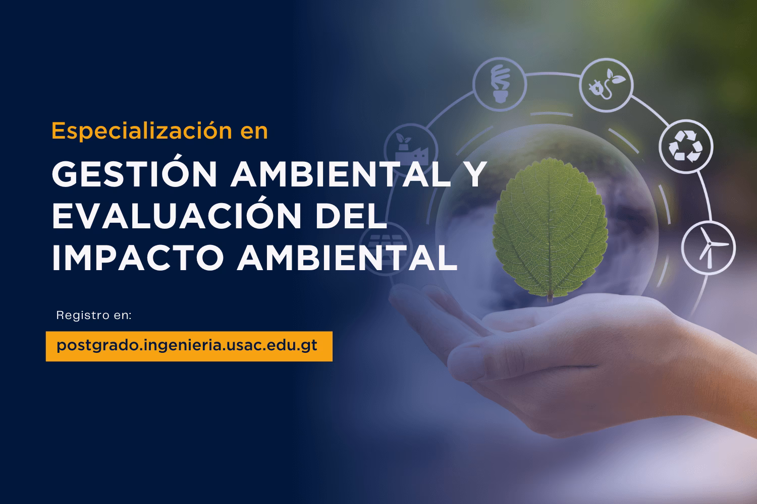 ¿Cuáles son los mejores estudios de impacto ambiental?