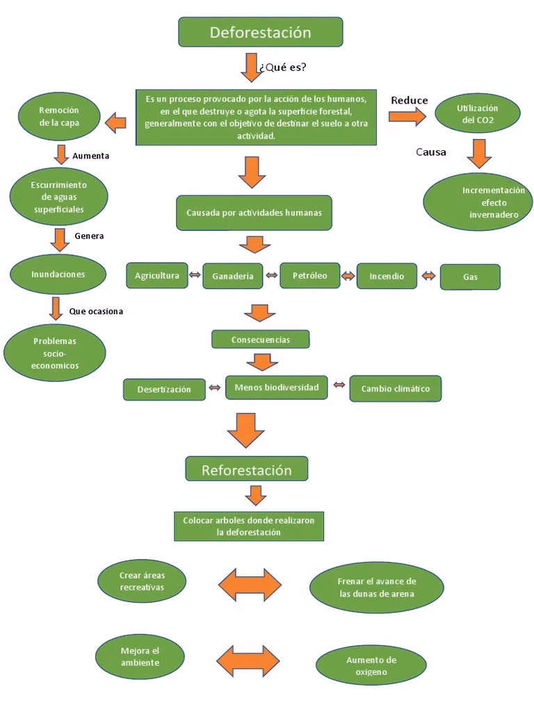 ¿Cuáles son los procesos de deforestación?