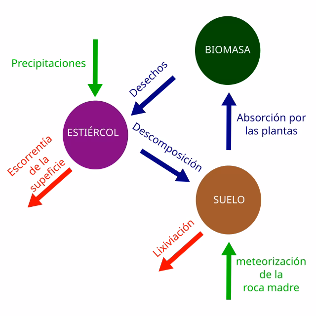 ¿Cuáles son los diferentes tipos de reciclado?
