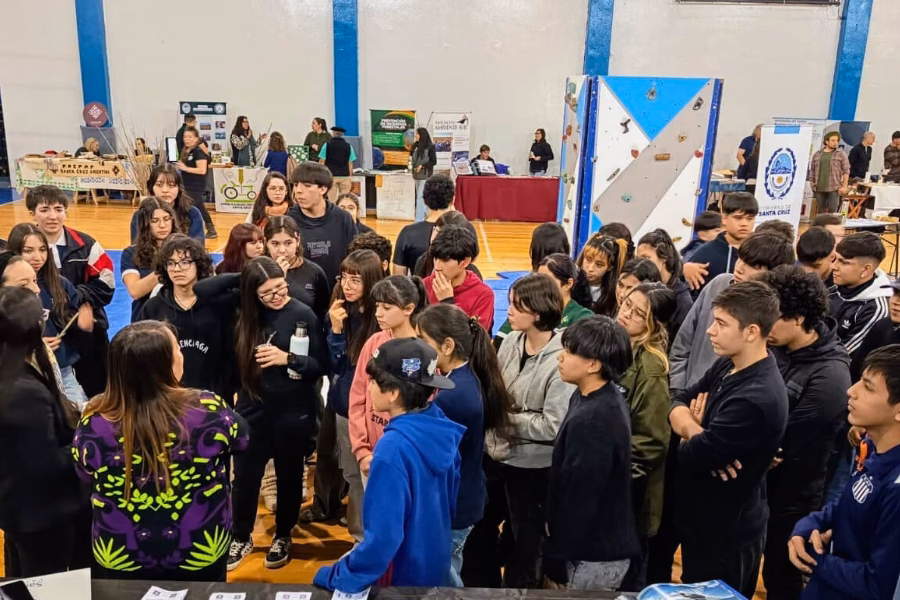 ¿Qué es el Consejo Gallego de Medio Ambiente y Desarrollo Sostenible?