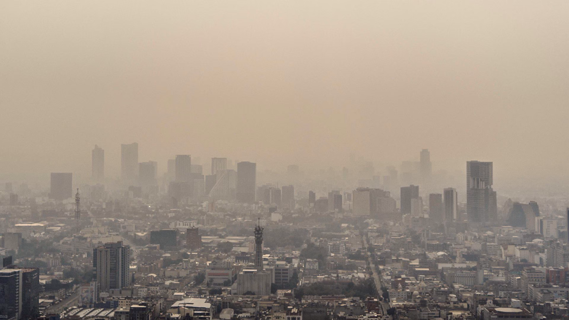 ¿Qué papel juegan las áreas de Medio Ambiente en cada municipio?