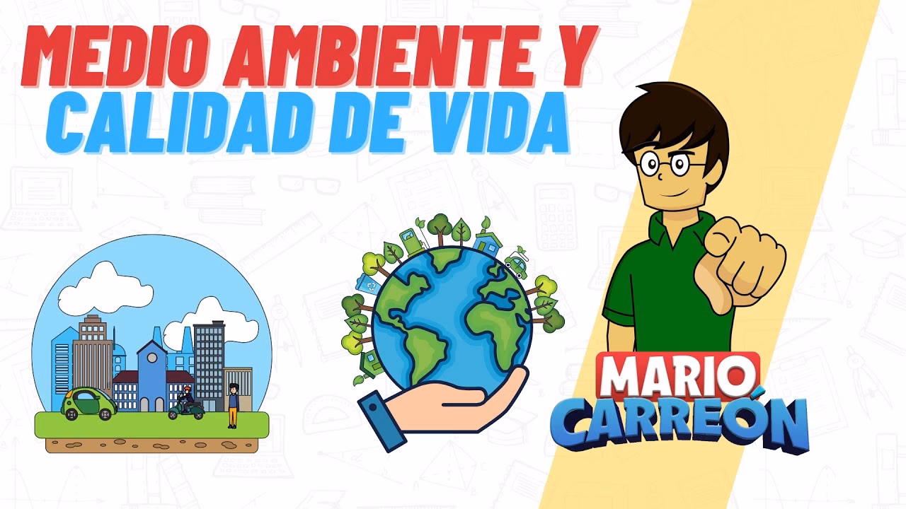 ¿Por qué es importante la mejora del Medio Ambiente?