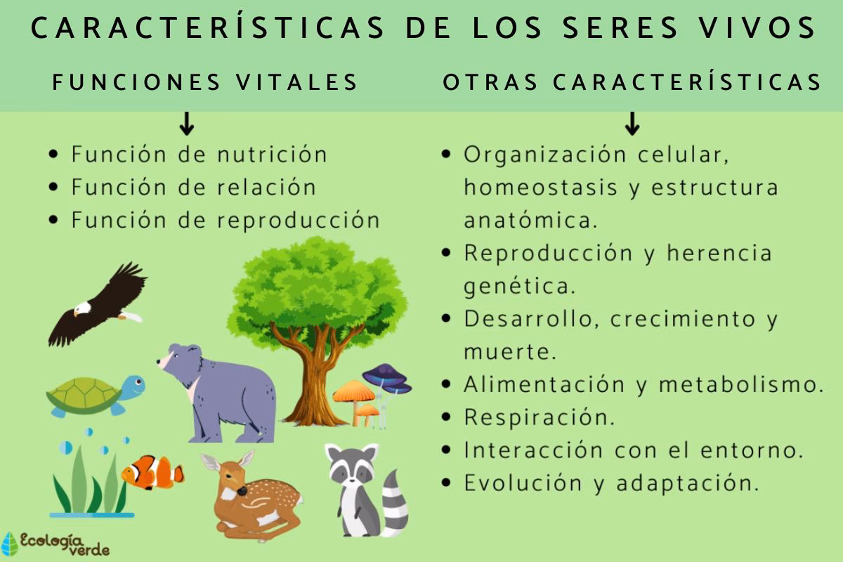 ¿Qué es la ciencia que estudia los seres vivos y su entorno?