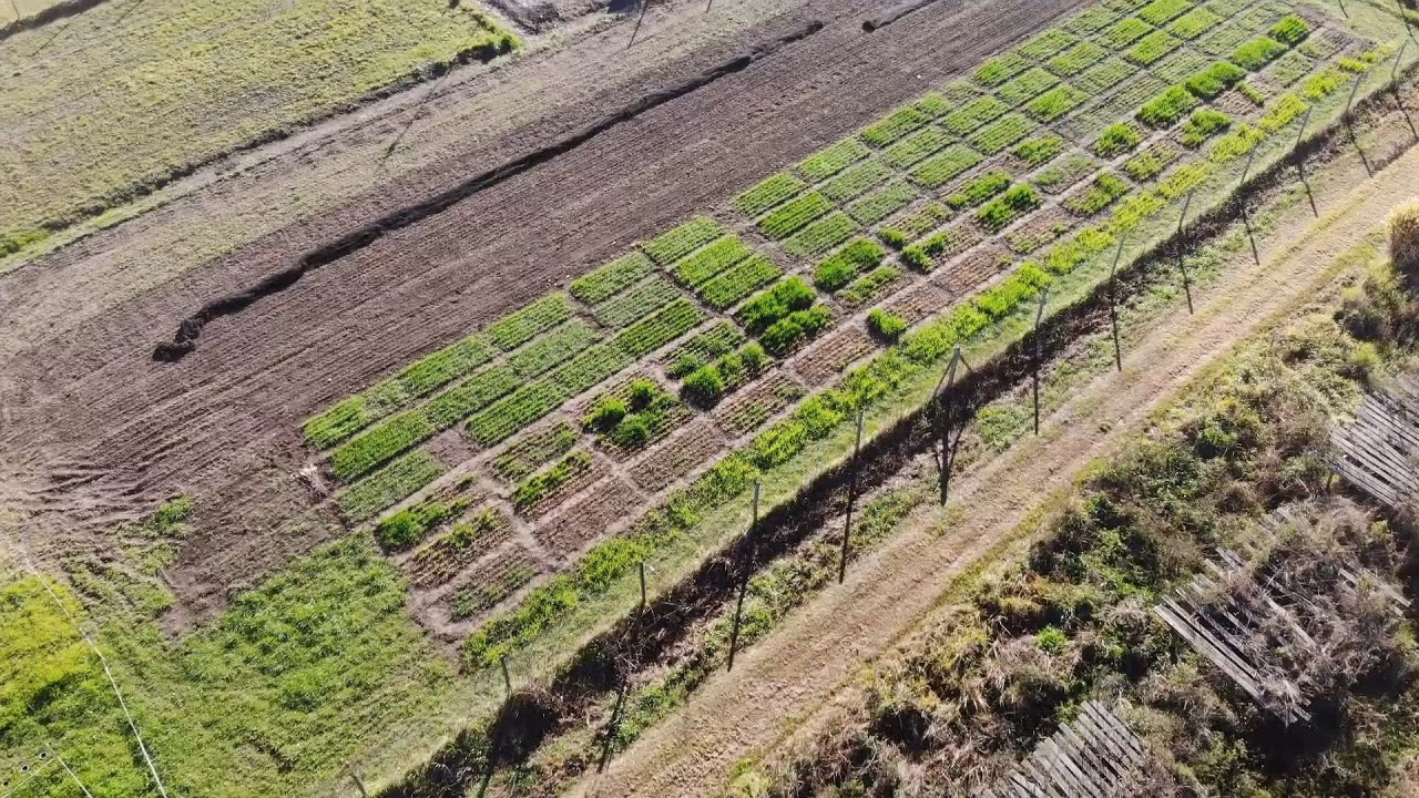 ¿Por qué estudiar cursos de agricultura online?