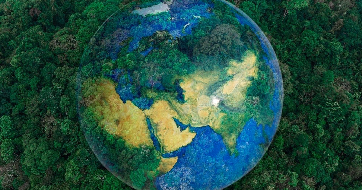 ¿Qué hace un técnico en conservación ambiental?