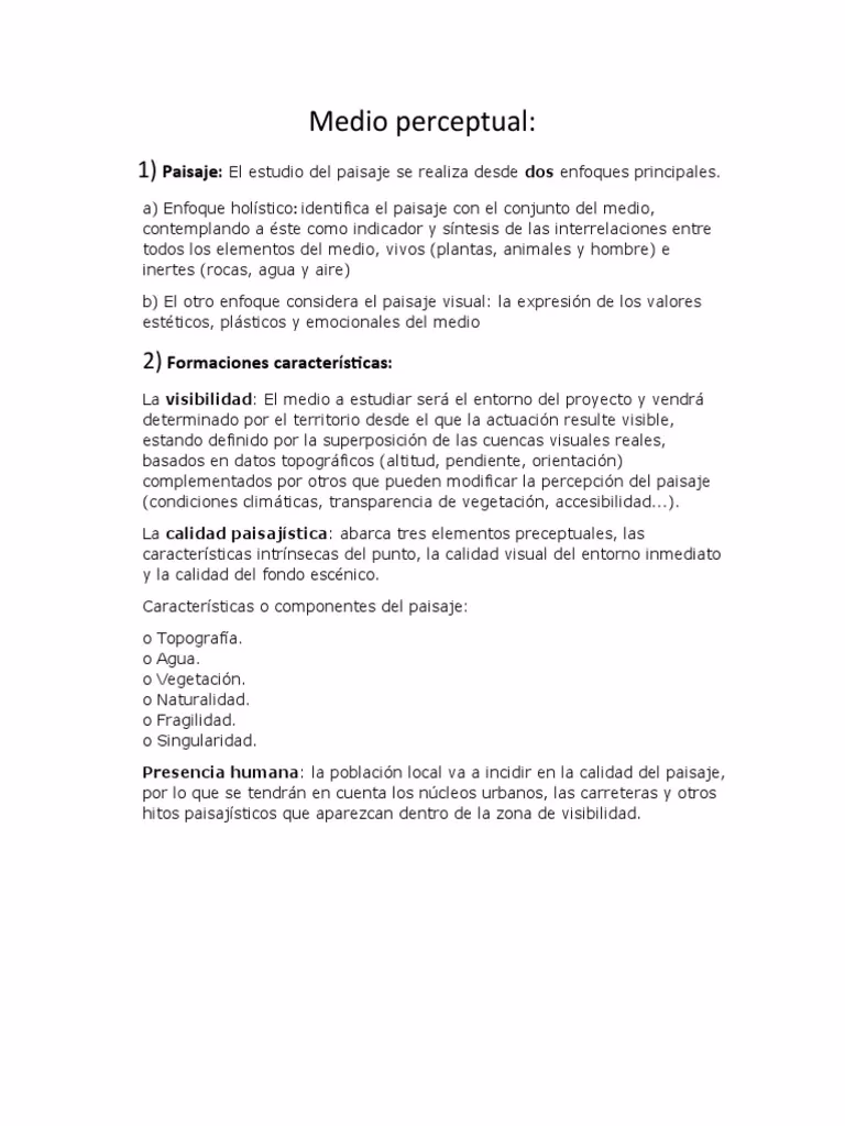 ¿Qué es el medio perceptual?