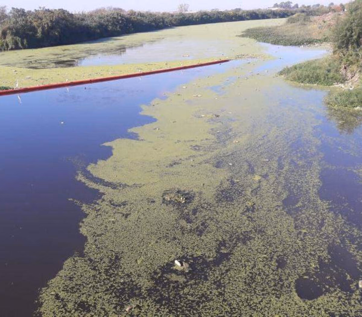 ¿Cuáles son las zonas más contaminadas del delta del río?