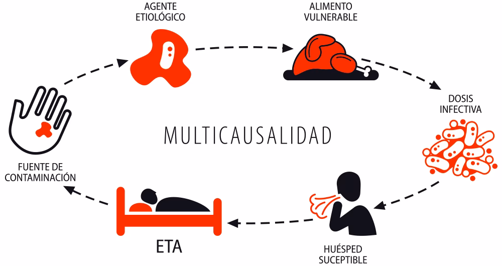 ¿Qué le sucede al Etión cuando entra al medio ambiente?