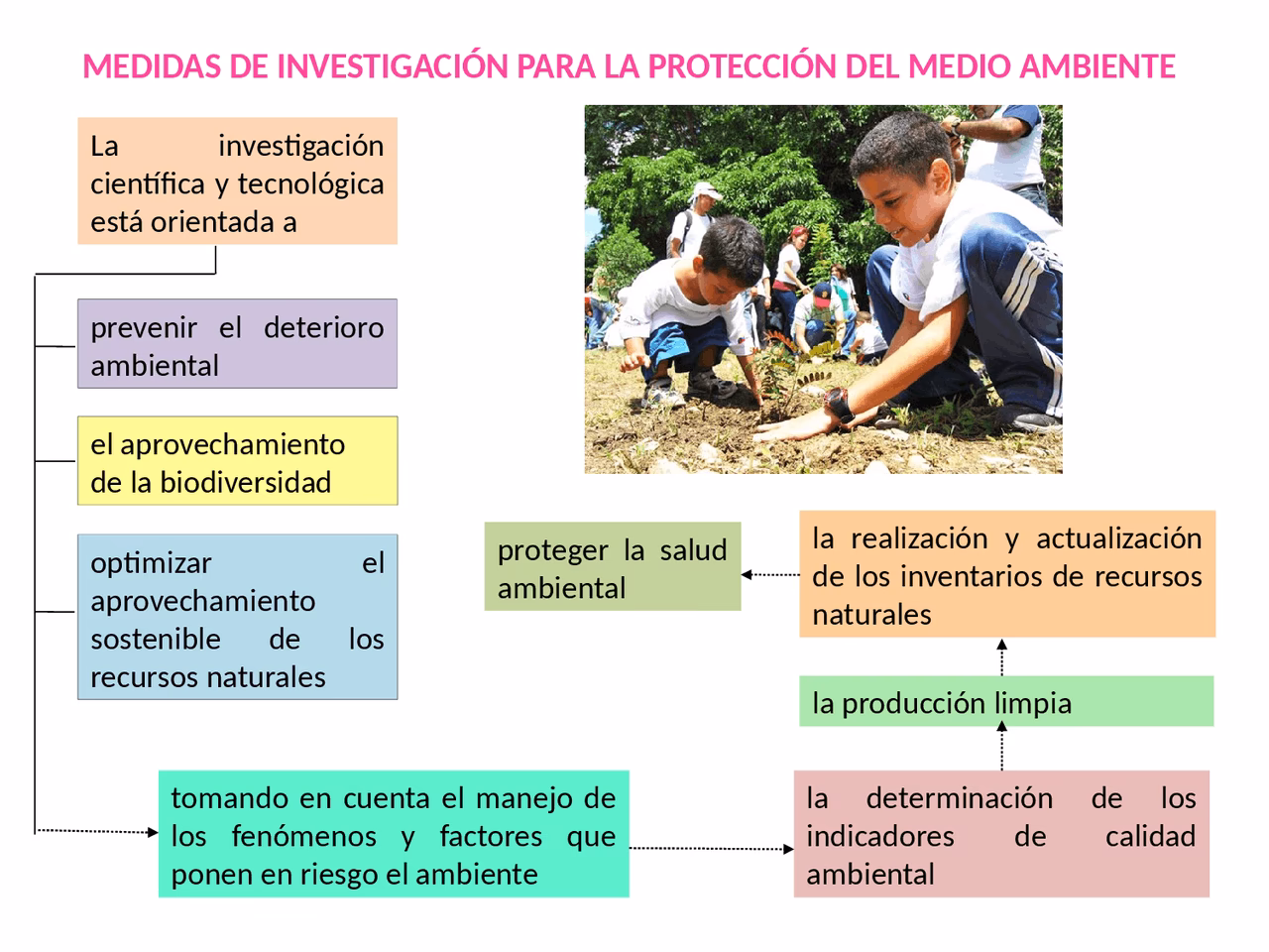 ¿Qué es la ecología de campo?