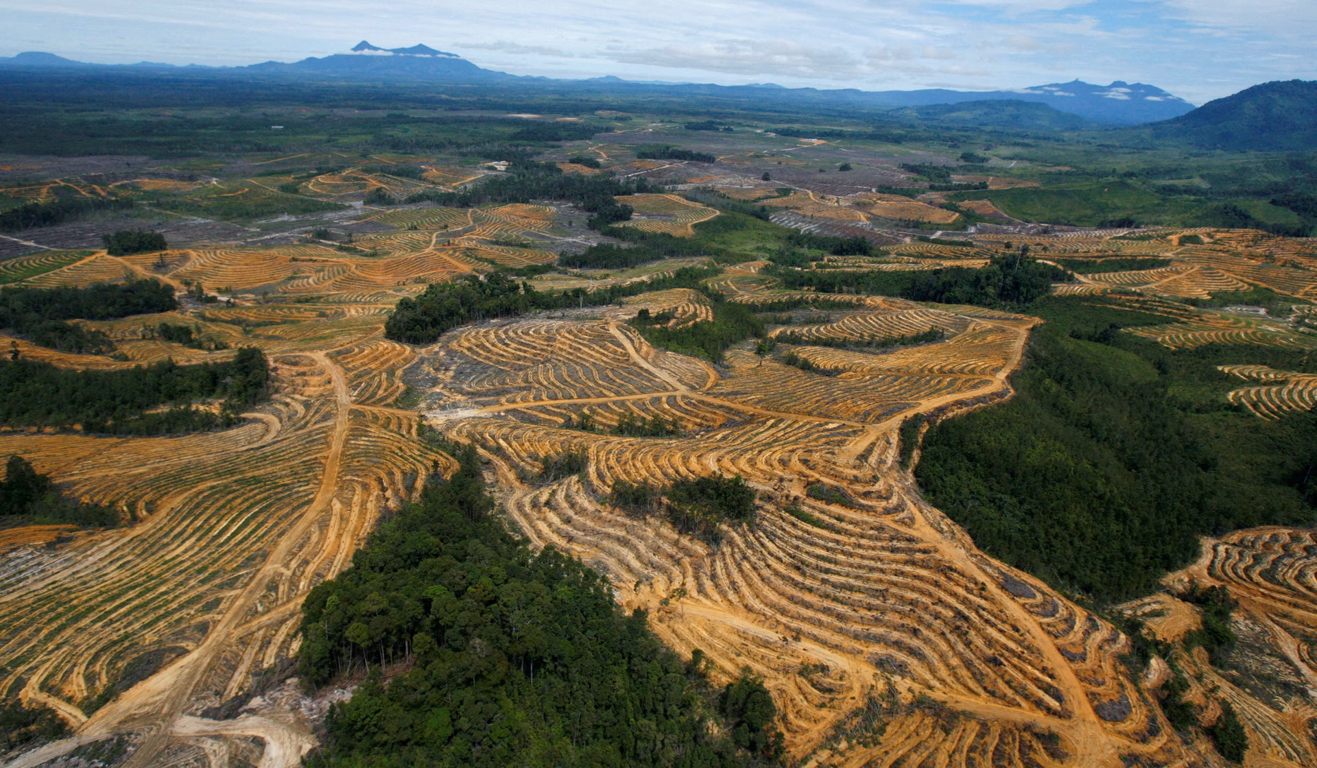 Does the European Union deforestation regulation affect global forest product markets?