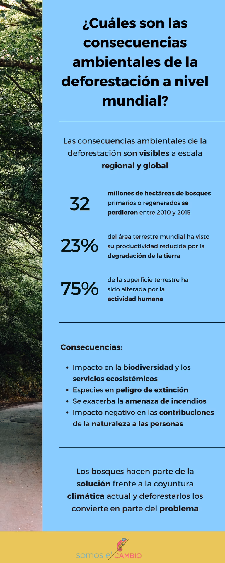¿Por qué los ambientalistas alertaron sobre la deforestación?