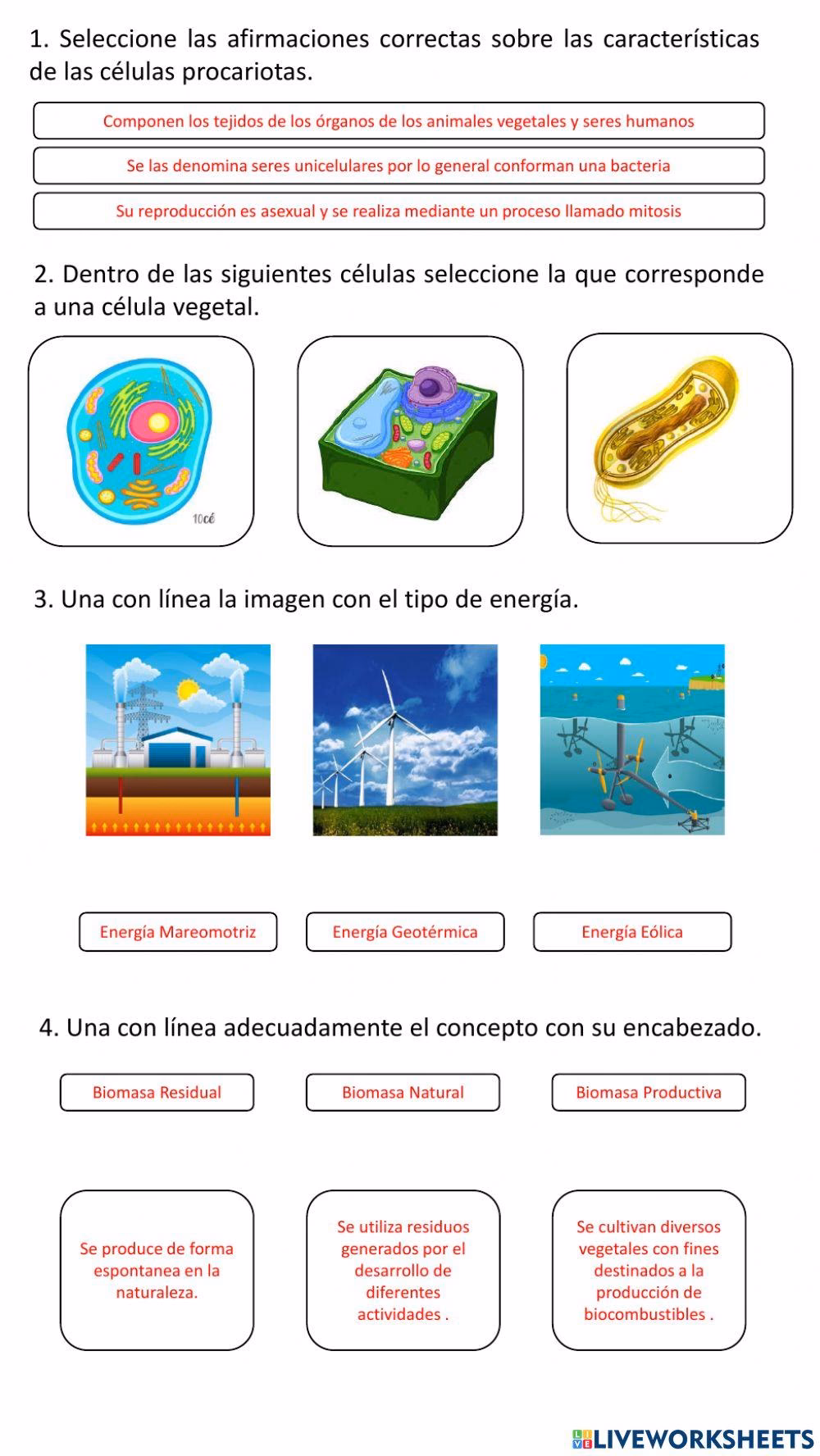 ¿Cómo se clasifica la energía renovable y no renovable?