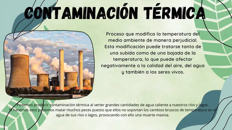 ¿Cuáles son las consecuencias de la contaminación de los ríos Veracruzanos?