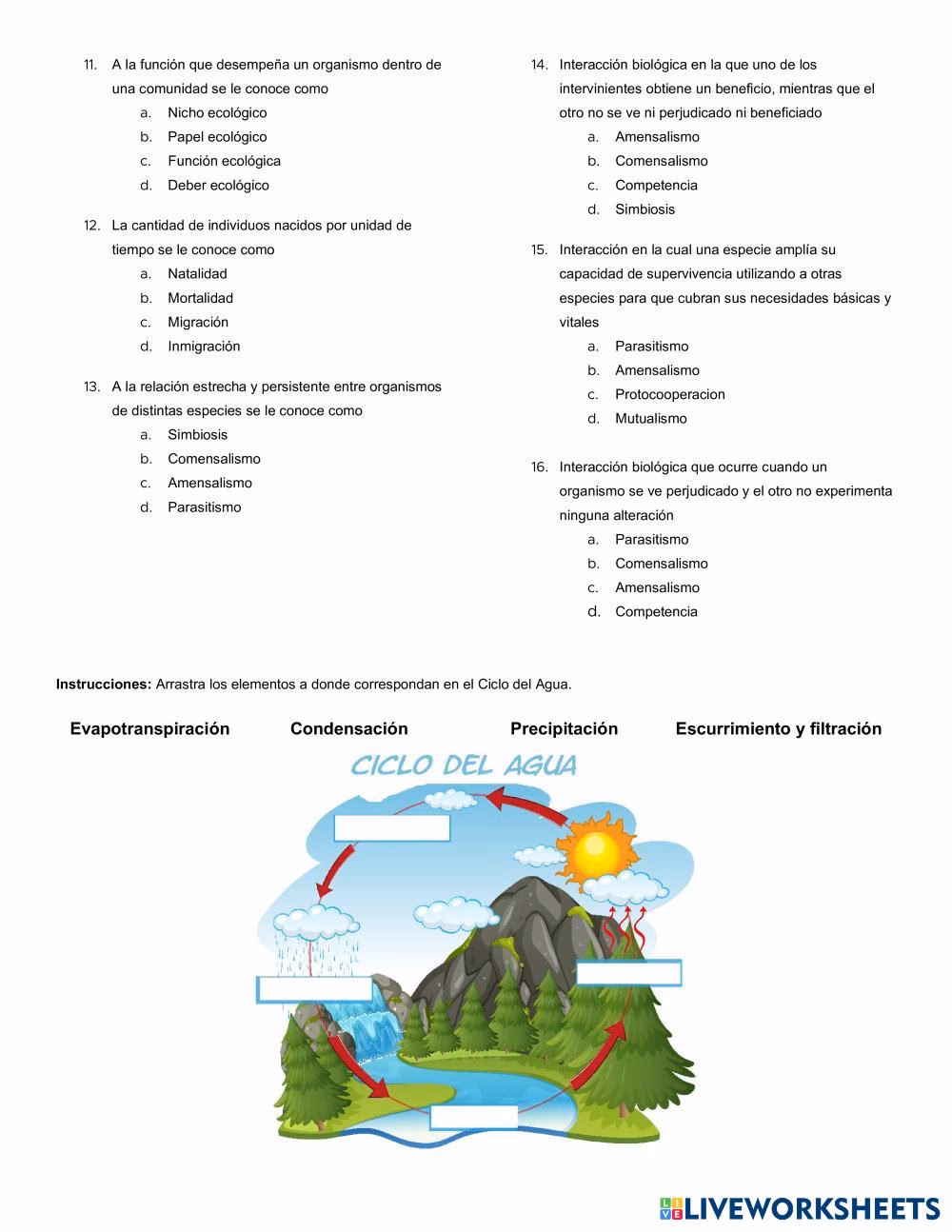 ¿Cuáles son los exámenes de diagnóstico sobre ecología y medio ambiente?