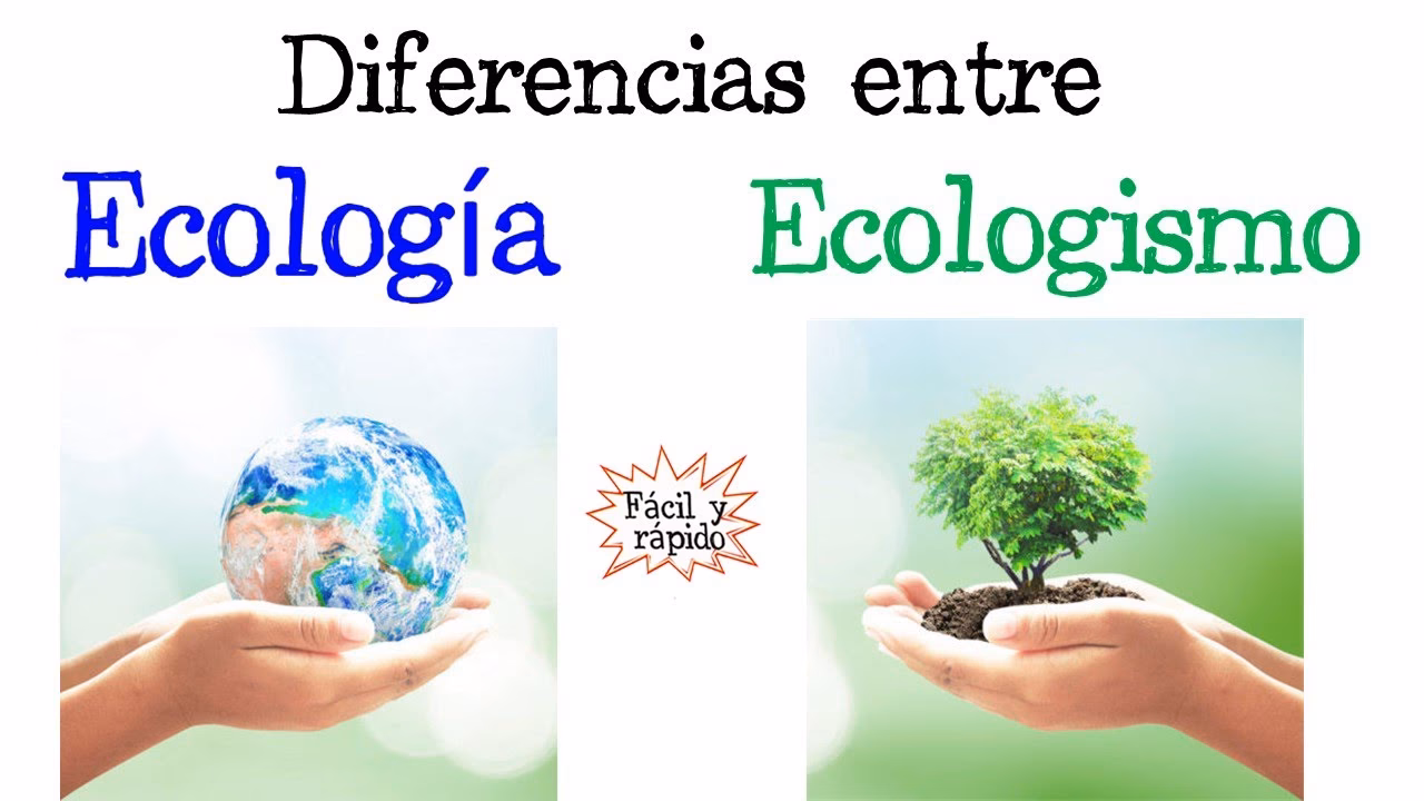 ¿Por qué es importante la ecología y el ecologismo?