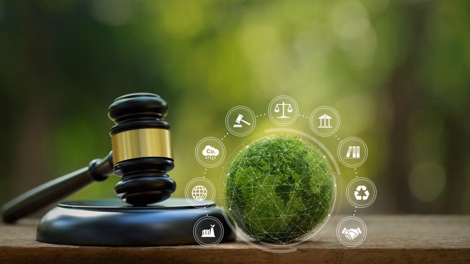 ¿Cuáles son las obligaciones de las autoridades ambientales?