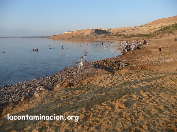 ¿Cómo evitar la contaminación del mar?
