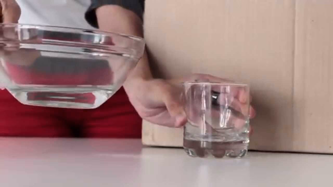 ¿Por qué es importante aprender a respetar el medio ambiente?