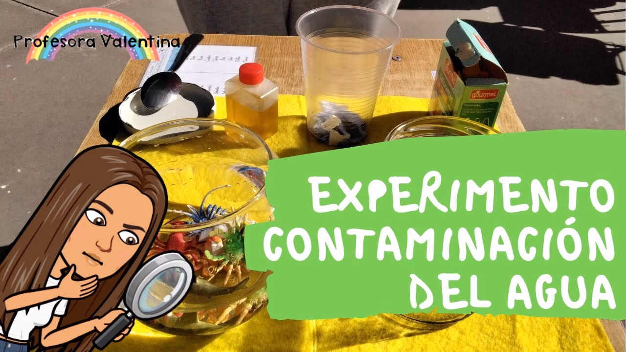 ¿Cuándo empiezan a proliferar los estudios sobre contaminación urbana?