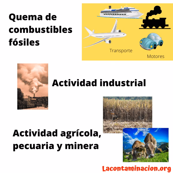 ¿Cuáles son las fuentes de contaminación?