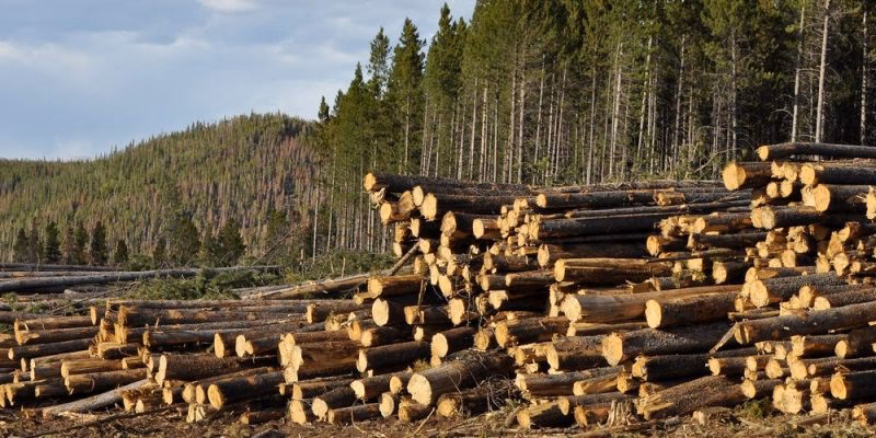 ¿Qué es el uso irracional de los recursos naturales?