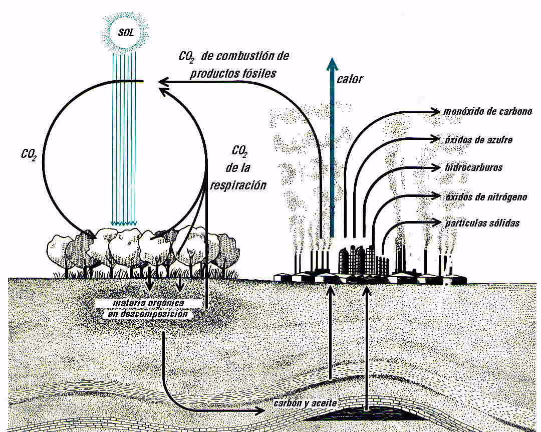 ¿Cómo se eliminan los vapores del suelo?