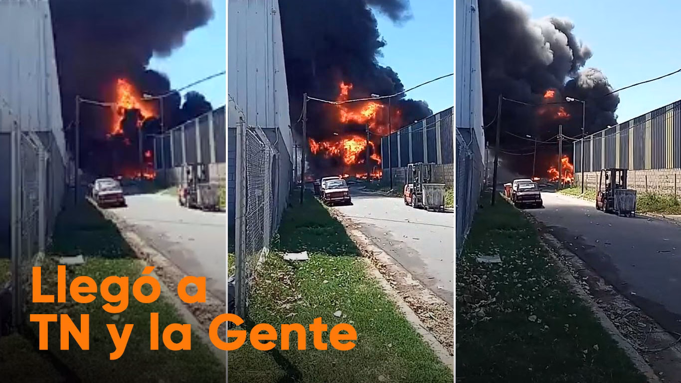 ¿Cómo afecta el cartón al medio ambiente?