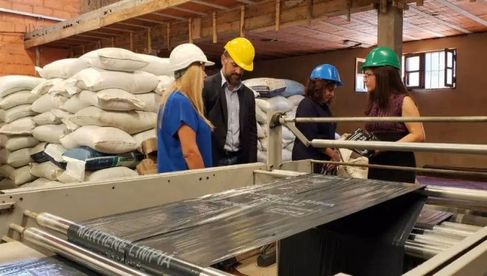 ¿Qué es el proyecto de reciclaje palas?