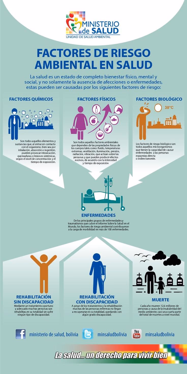 ¿Cuáles son los factores de riesgo en el medio ambiente?