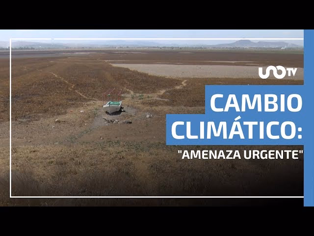 ¿Cuánto recibirá el estado colombiano para hacerle frente al cambio climático?