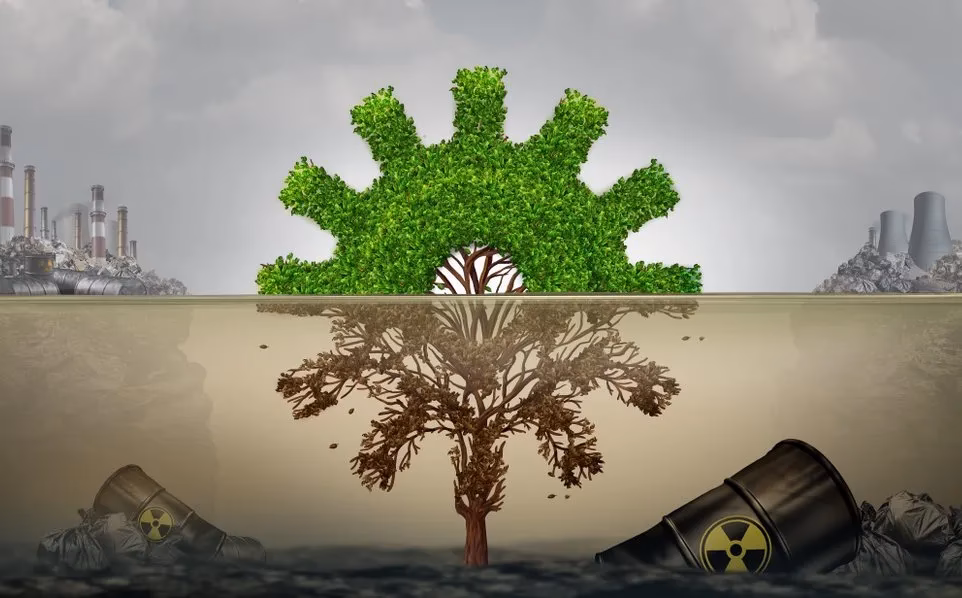 ¿Cómo se deben atender las fuentes de los problemas ambientales?