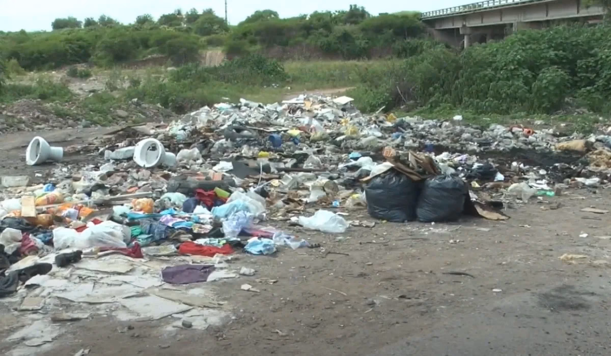 ¿Cuáles son los ejes del desarrollo sustentable?