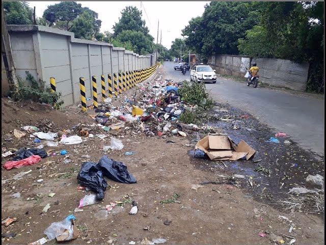 ¿Cuál es el impacto de la falta de Educación Ambiental en la sociedad moderna?